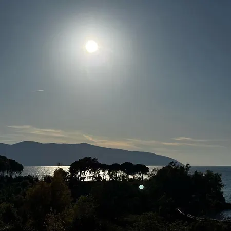 公寓 Velvet Sands On The